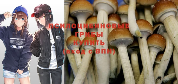 MESCALINE Кинешма