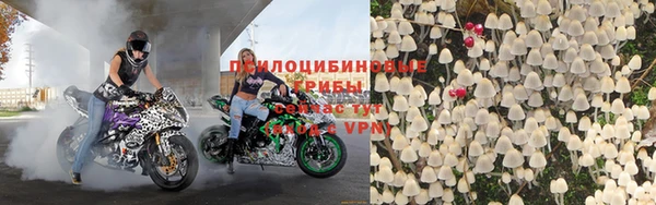 стафф Киреевск